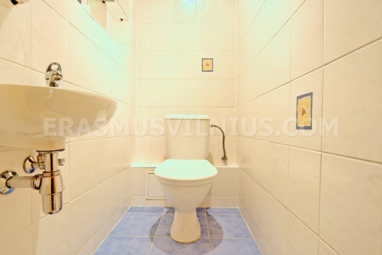 Kitchen and dining area in 4-bedroom Erasmus flat, Kauno gatvė