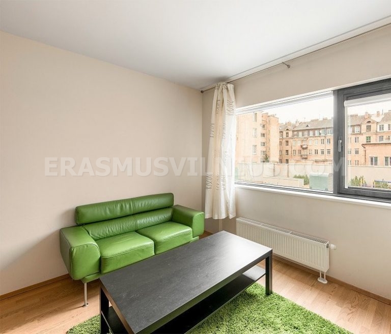 Equipped kitchen with dishwasher in Erasmus student flat