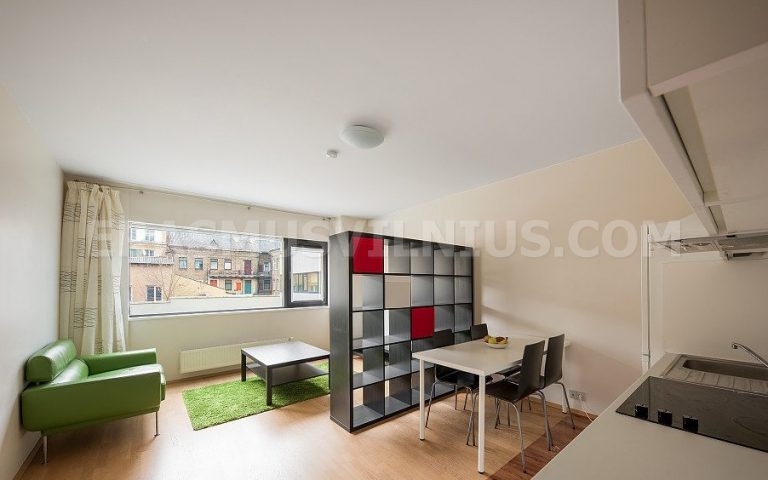 Fully equipped kitchen with oven, cooktop and dishwasher in Erasmus flat, Mindaugo gatvė Vilnius