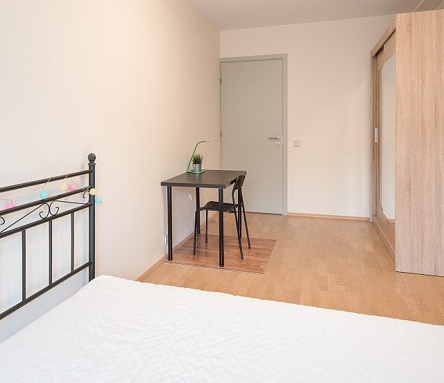 Second bedroom (16 m²) with natural light and king size bed in Flat 2, Vilnius