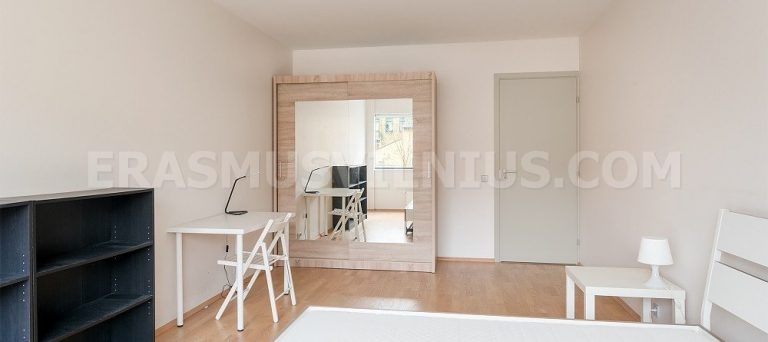 Spacious 21 m² bedroom with king size bed in Erasmus Vilnius Flat 2, Mindaugo gatvė