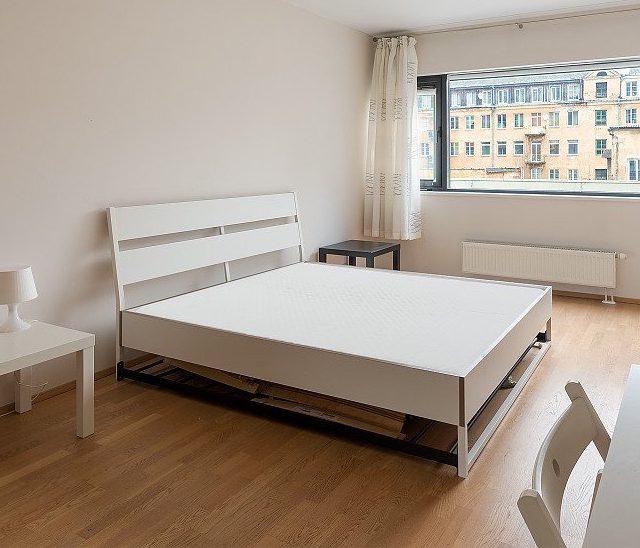 Private bedroom for Erasmus students in Vilnius city center - Mindaugo street