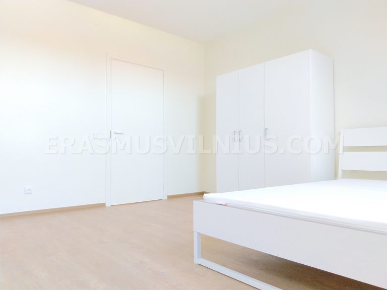 Brand new bed frame and mattress in freshly renovated room