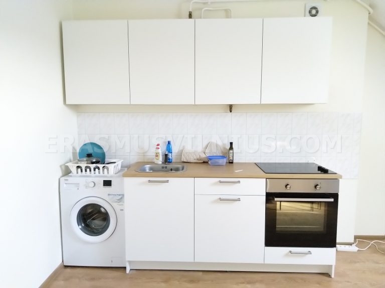 Vilnius old town rooftop view from skylight window in summer