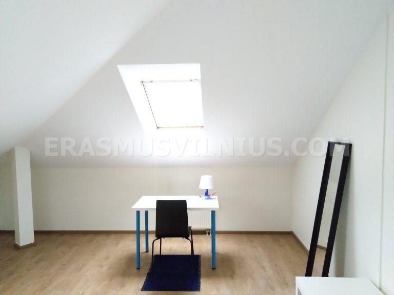 Living room with armchair and carpet, student accommodation Vilnius