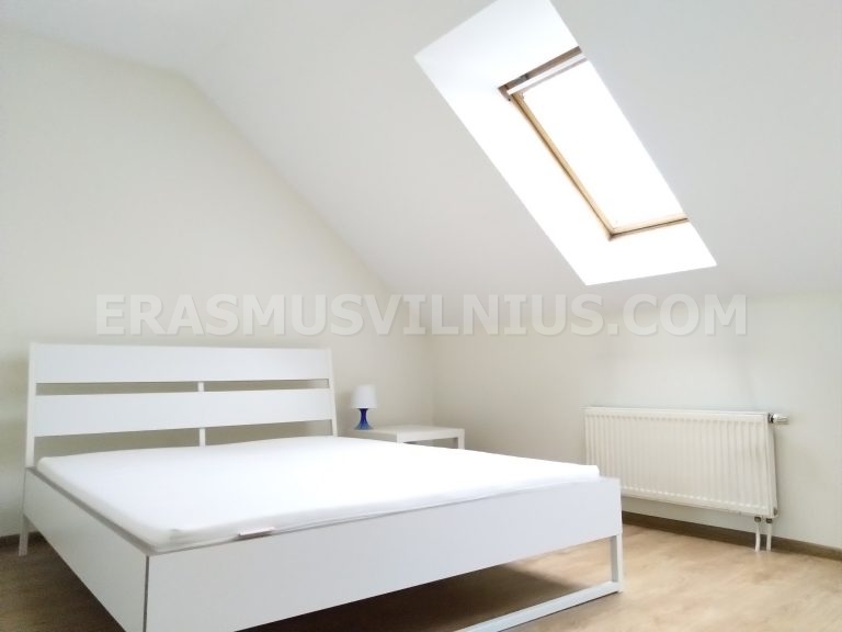 Kitchen with oven, cooktop and counter space in Vilnius student accommodation