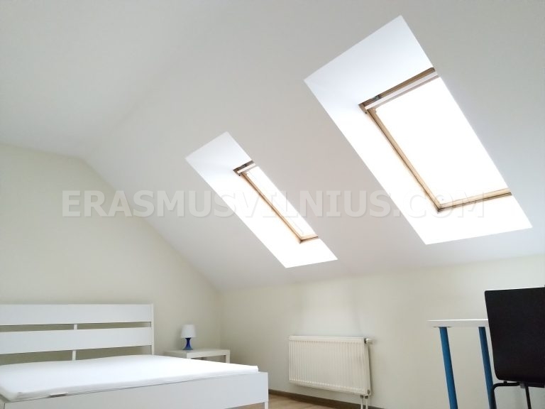 Bright attic bedroom with two skylights providing natural light