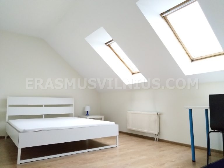 Bedroom with bedside table, lamp and carpet in Erasmus flat