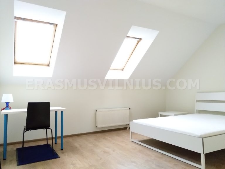 Second bathroom overview — shower and sink in Erasmus flat