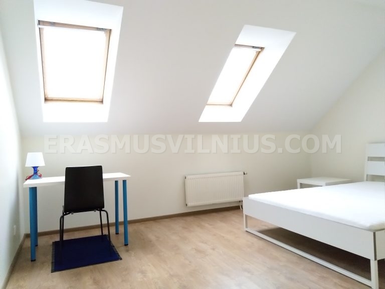 Bathroom mirror and sink with storage in Vilnius accommodation