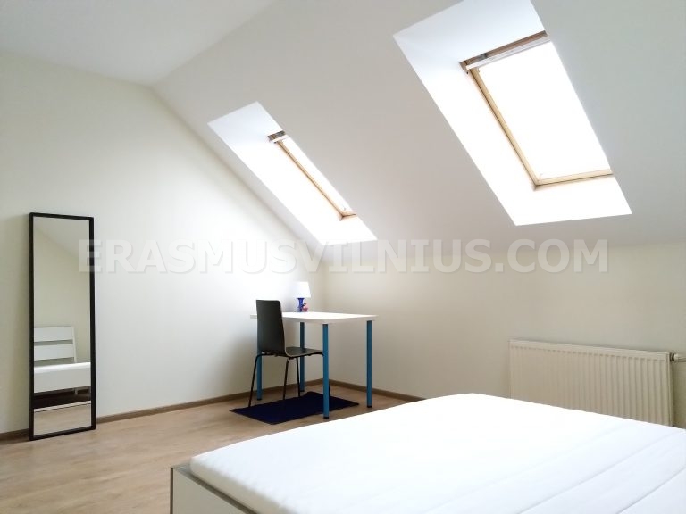 Second bathroom with shower in 6-bedroom Erasmus flat