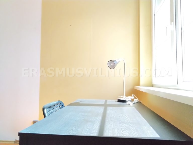 Bathroom sink and mirror in 4-bedroom Vilnius flat