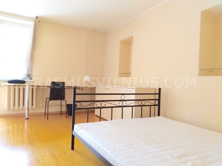 Room interior with carpet and lamp in Erasmus flat, Kauno gatvė