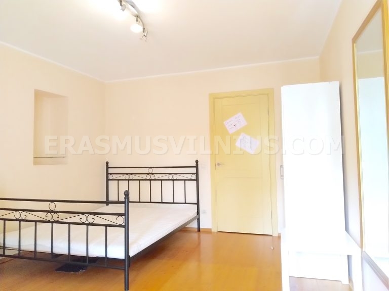 Kitchen overview in 4-bedroom Erasmus flat, Kauno gatvė